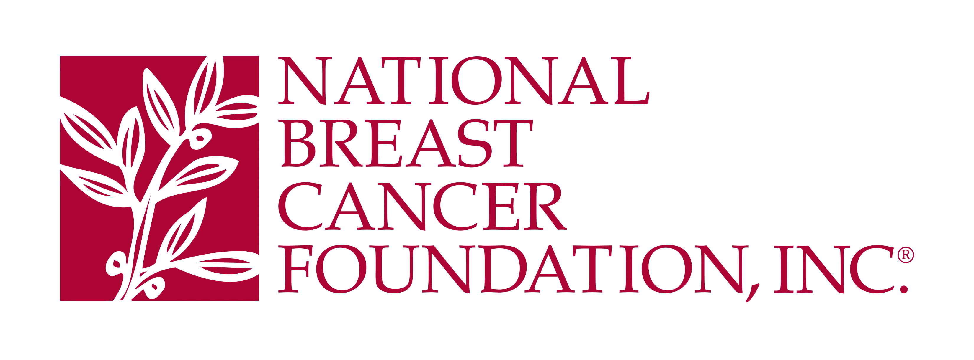 National Breast Cancer Foundation logo